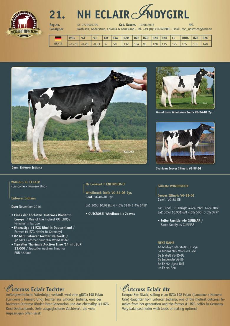Datasheet for Lot 21. NH Eclair Indygirl