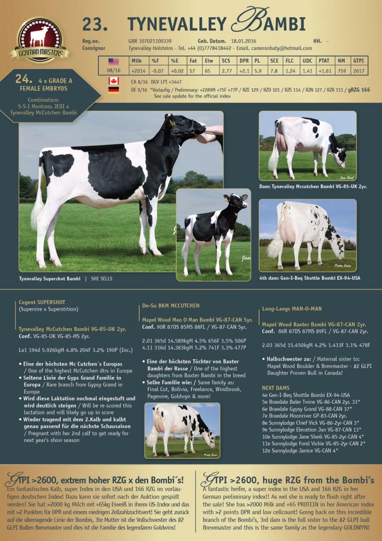 Datasheet for Lot 24. EMBRYOS: #4 SEXED S-S-I Montross JEDI x Tynevalley Mcctuchen Bambi VG-85-UK 2yr.