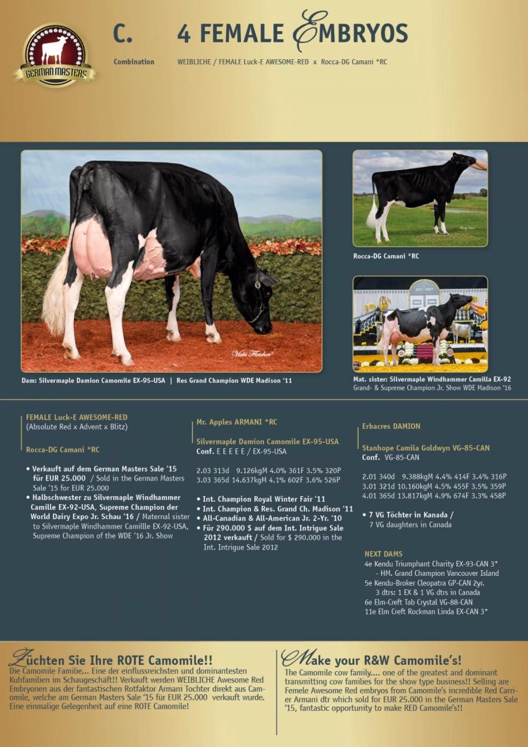 Datasheet for Lot C. EMBRYOS: #4 SEXED AWESOME-RED x Rocca-DG Camani *RC - SEE SALE UPDATE