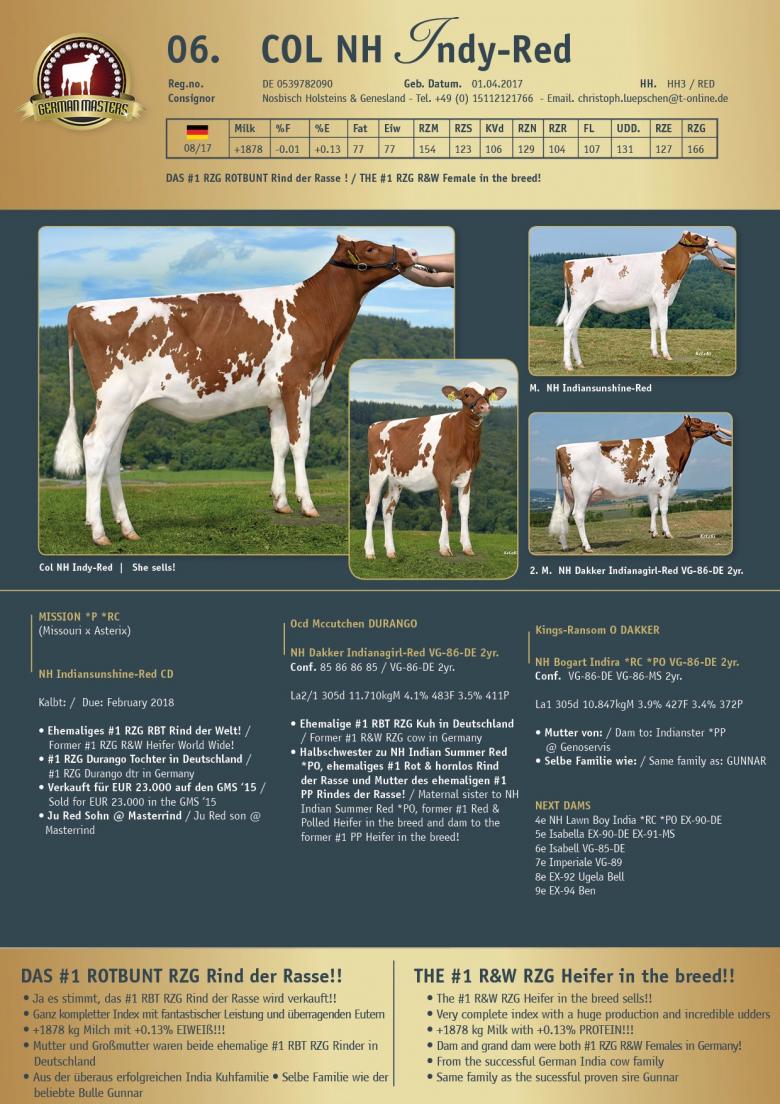 Datasheet for Lot 6. Col NH Indy-Red