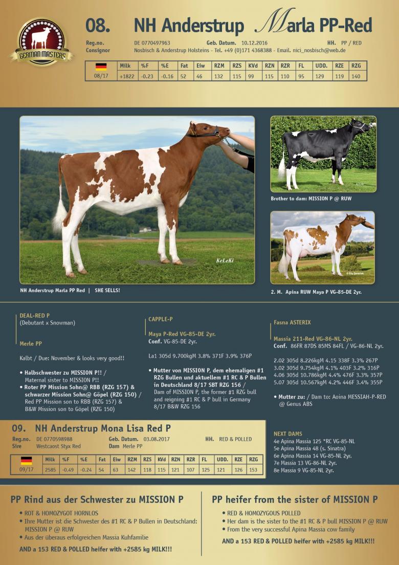 Datasheet for Lot 8. NH Anderstrup Marla PP-Red