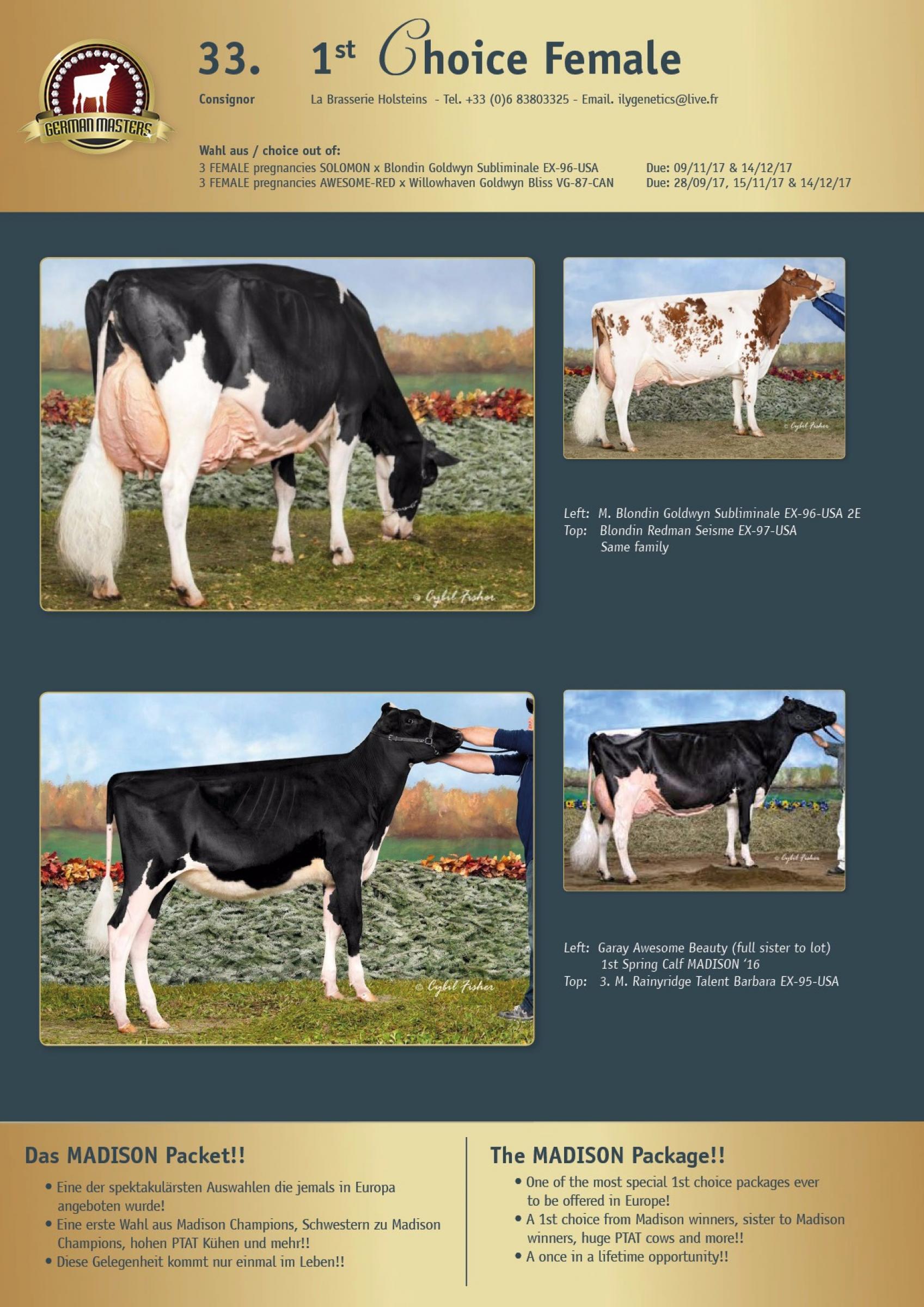 Datasheet for Lot 33. 1st Choice Female: The MADISON package!