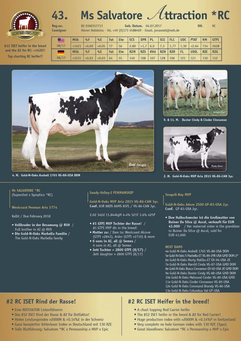 Datasheet for Lot 43. Ms Salvatore Attraction *RC