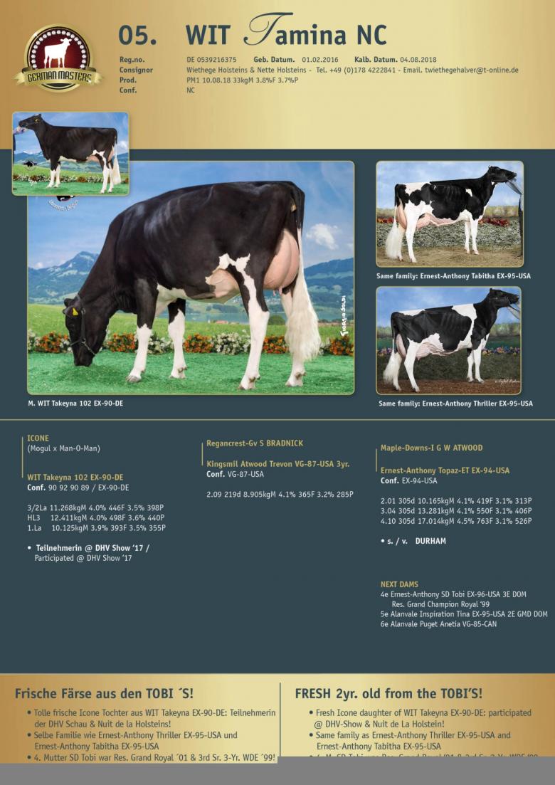 Datasheet for Lot 5. WIT Tamina | Out of sale