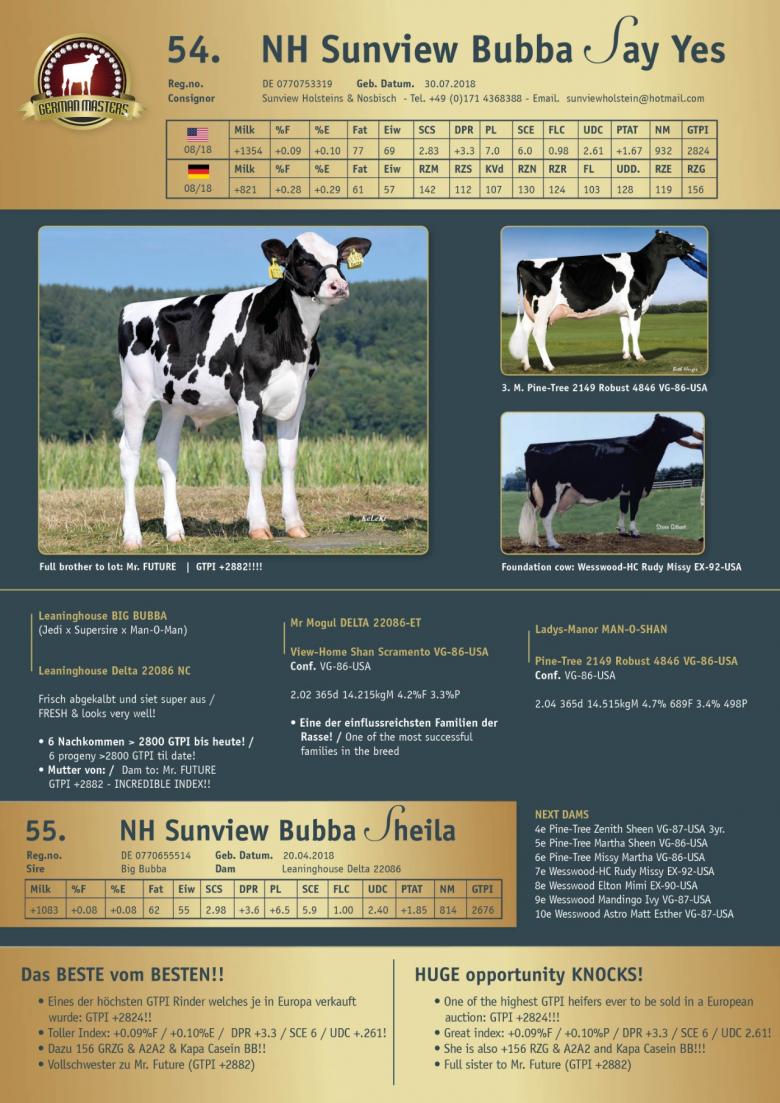 Datasheet for Lot 54. NH Sunview Bubba Say Yes