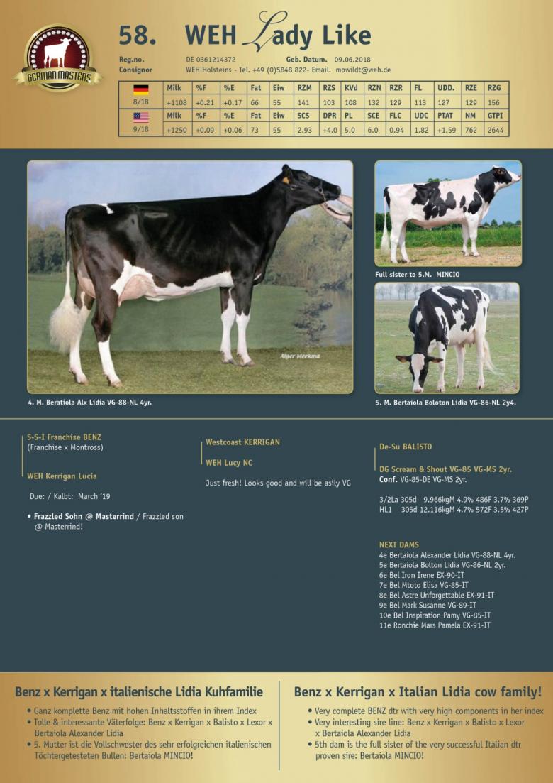 Datasheet for Lot 58. WEH Lady Like | Out of sale