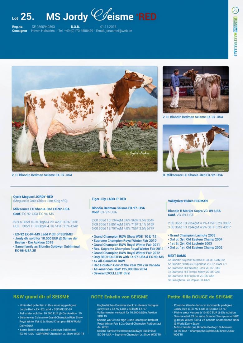 Datasheet for Lot 25. MS Jordy Seisme Red
