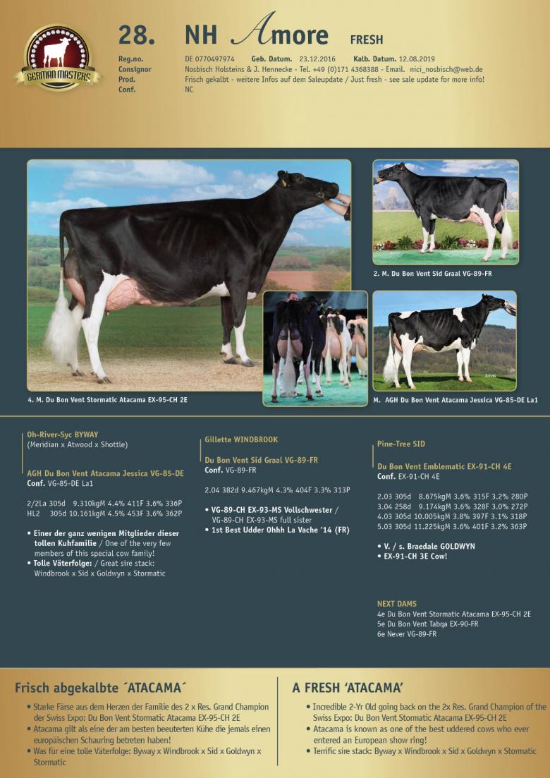 Datasheet for Lot 28. NH Amore