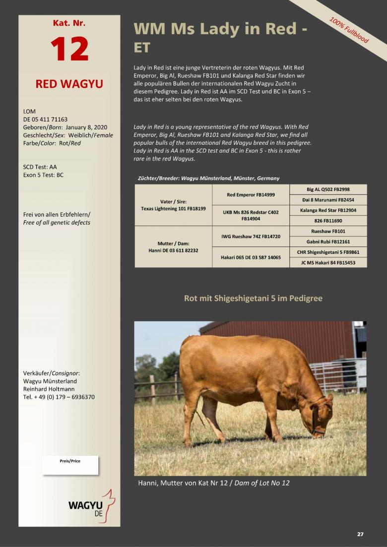 Datasheet for Lot 12. WM Ms Lady in Red-ET